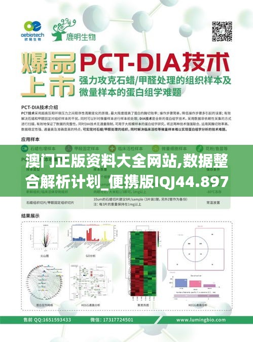 澳门正版资料大全网站,数据整合解析计划_便携版IQJ44.897