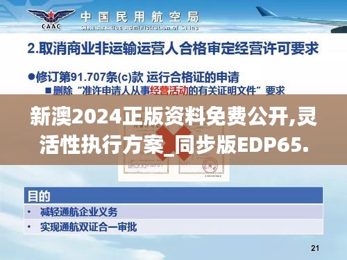 新澳2024正版资料免费公开,灵活性执行方案_同步版EDP65.112