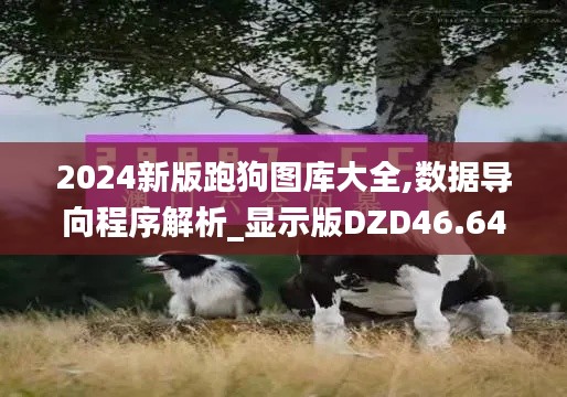 2024新版跑狗图库大全,数据导向程序解析_显示版DZD46.643