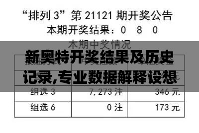 新奥特开奖结果及历史记录,专业数据解释设想_SE版YKH48.355