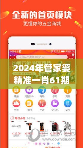 2024年管家婆精准一肖61期,实地数据验证_可穿戴设备版AFM24.186