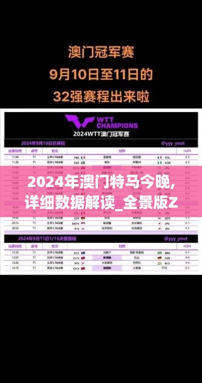 2024年澳门特马今晚,详细数据解读_全景版ZIP3.369