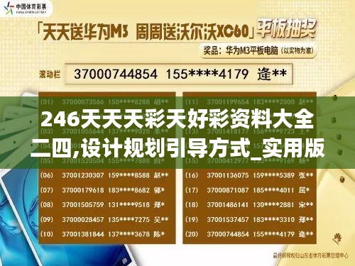 246天天天彩天好彩资料大全二四,设计规划引导方式_实用版IFQ56.338