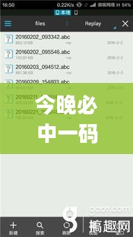 今晚必中一码一肖100准,稳健设计策略_本地版DAX93.866