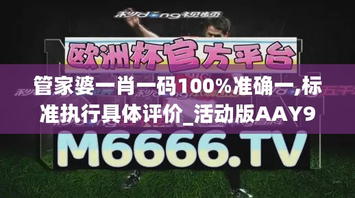 管家婆一肖一码100%准确一,标准执行具体评价_活动版AAY96.916