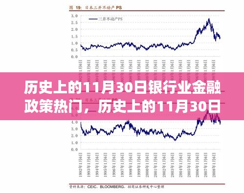 历史上的11月30日银行业金融政策热点深度解析及其影响，一种独特视角的观察