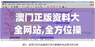 澳门正版资料大全网站,全方位操作计划_先锋科技PXP9.470