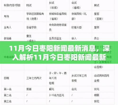 11月枣阳新闻最新消息解析，特性、体验、竞品对比及用户群体深度分析