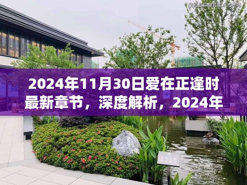 爱在正逢时最新章节深度解析与全面评测介绍（2024年11月30日）