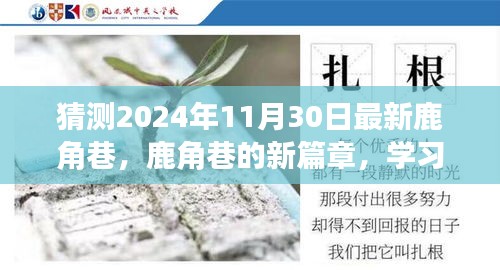 2024年11月 第15页