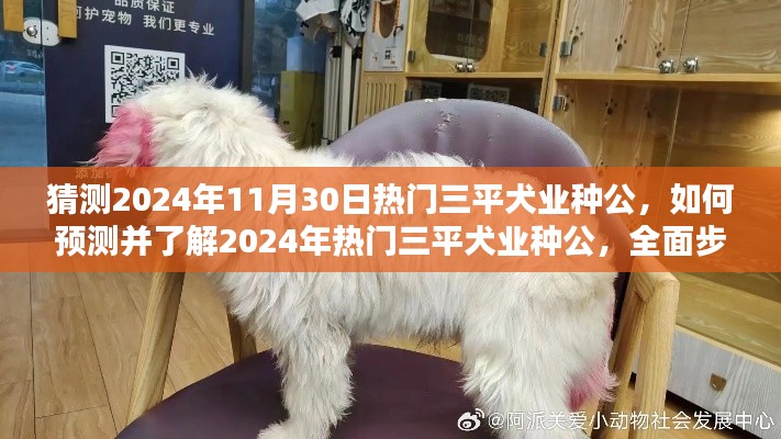 全面步骤指南，预测并了解2024年热门三平犬业种公的选择与趋势分析