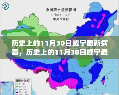 历史上的11月30日咸宁最新病毒深度探究与解析