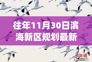 历年11月30日滨海新区的规划回顾与展望，最新动态与消息速递