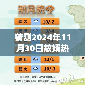 2024年11月30日敖婿文化与情感交融盛宴，热门趋势预测与深度解读