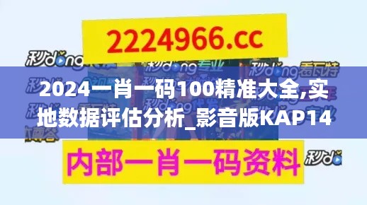 2024一肖一码100精准大全,实地数据评估分析_影音版KAP14.857