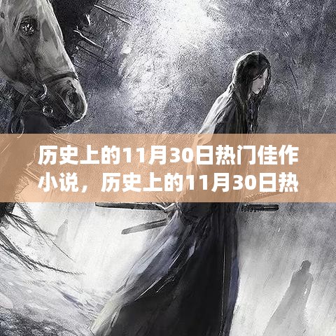 历史上的11月30日热门佳作小说深度解读与全景测评