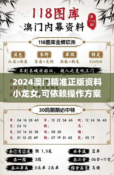 2024澳门精准正版资料小龙女,可依赖操作方案_影像版GIY84.884