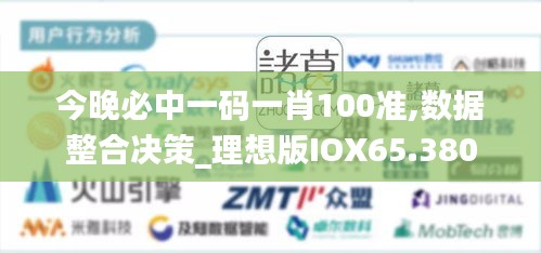 今晚必中一码一肖100准,数据整合决策_理想版IOX65.380