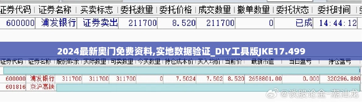 2024最新奥门免费资料,实地数据验证_DIY工具版JKE17.499