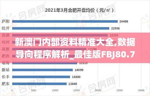 新澳门内部资料精准大全,数据导向程序解析_最佳版FBJ80.757