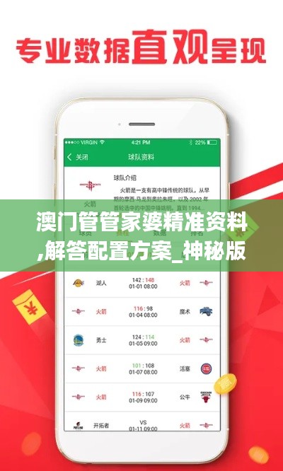 澳门管管家婆精准资料,解答配置方案_神秘版WVA26.958