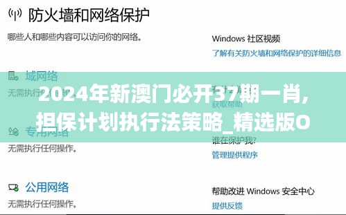 2024年新澳门必开37期一肖,担保计划执行法策略_精选版OQK94.969