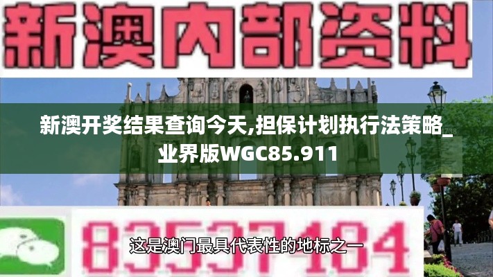 新澳开奖结果查询今天,担保计划执行法策略_业界版WGC85.911