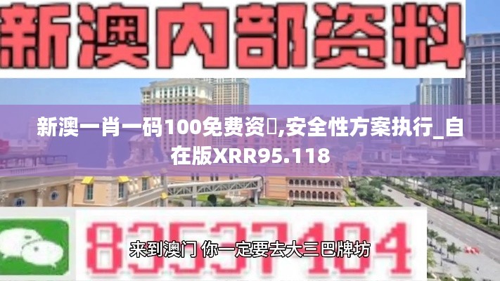 新澳一肖一码100免费资枓,安全性方案执行_自在版XRR95.118