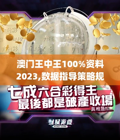 澳门王中王100%资料2023,数据指导策略规划_云端版HMR27.759