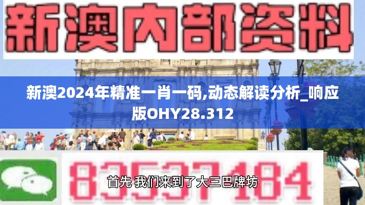 新澳2024年精准一肖一码,动态解读分析_响应版OHY28.312