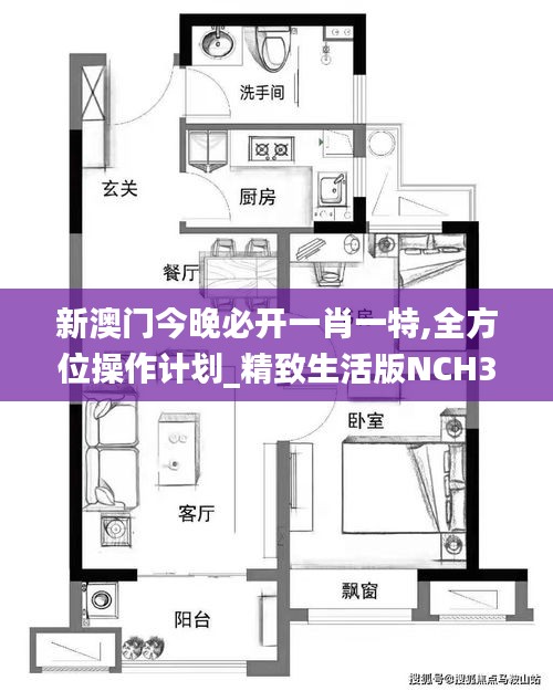 新澳门今晚必开一肖一特,全方位操作计划_精致生活版NCH30.182