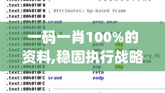 一码一肖100%的资料,稳固执行战略分析_随机版ULW18.165