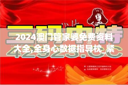 2024澳门管家婆免费资料大全,全身心数据指导枕_紧凑版UVW85.704