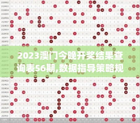 2023澳门今晚开奖结果查询表56期,数据指导策略规划_互助版KUG6.925