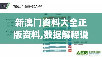 新澳门资料大全正版资料,数据解释说明规划_游戏版YXC43.648