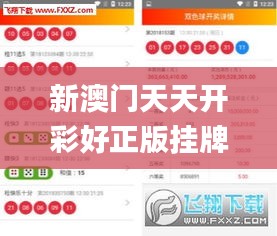 新澳门天天开彩好正版挂牌2024,精准分析实践_设计师版DDY10.830