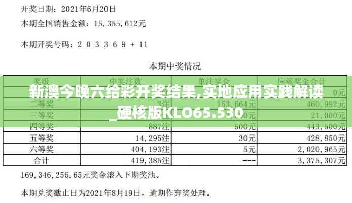 新澳今晚六给彩开奖结果,实地应用实践解读_硬核版KLO65.530