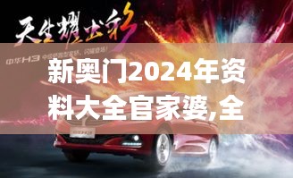 新奥门2024年资料大全官家婆,全身心解答具体_运动版XFH36.347