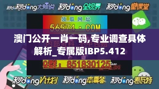 澳门公开一肖一码,专业调查具体解析_专属版IBP5.412