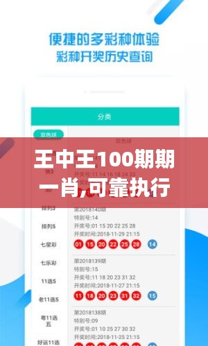 王中王100期期一肖,可靠执行操作方式_外观版PZG59.438