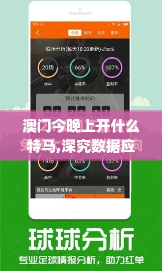 澳门今晚上开什么特马,深究数据应用策略_时刻版OXH79.449