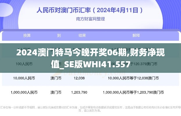 2024澳门特马今晚开奖06期,财务净现值_SE版WHI41.557