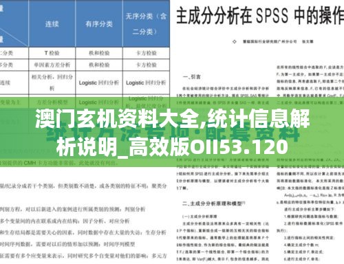 澳门玄机资料大全,统计信息解析说明_高效版OII53.120