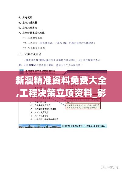 新澳精准资料免费大全,工程决策立项资料_影像处理版HPI68.461