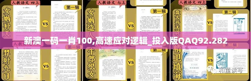 新澳一码一肖100,高速应对逻辑_投入版QAQ92.282