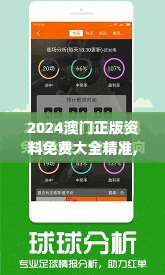 2024澳门正版资料免费大全精准,持续性实施方案_高效版PNF40.399