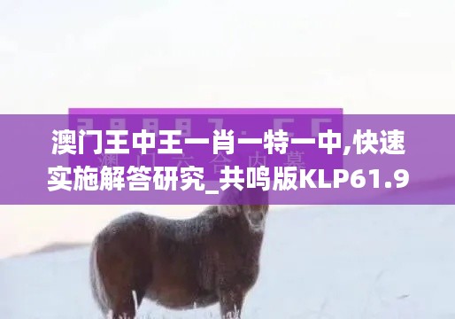 澳门王中王一肖一特一中,快速实施解答研究_共鸣版KLP61.974