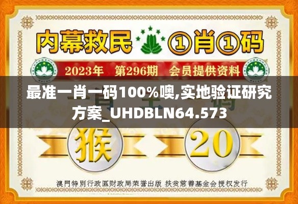 最准一肖一码100%噢,实地验证研究方案_UHDBLN64.573