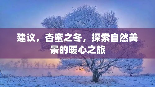 杏蜜之冬，暖心自然美景探索之旅