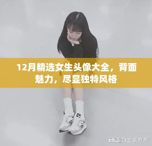 精选女生头像十二月版，展现独特风格与背面魅力